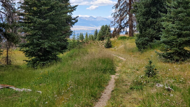 Sweeping views from the Bartlett Trail.