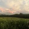 The vista point at one end of the Mountain Meadow Trail gives a panoramic view of the Greylock Range to the south and the Taconic Crest to the west.