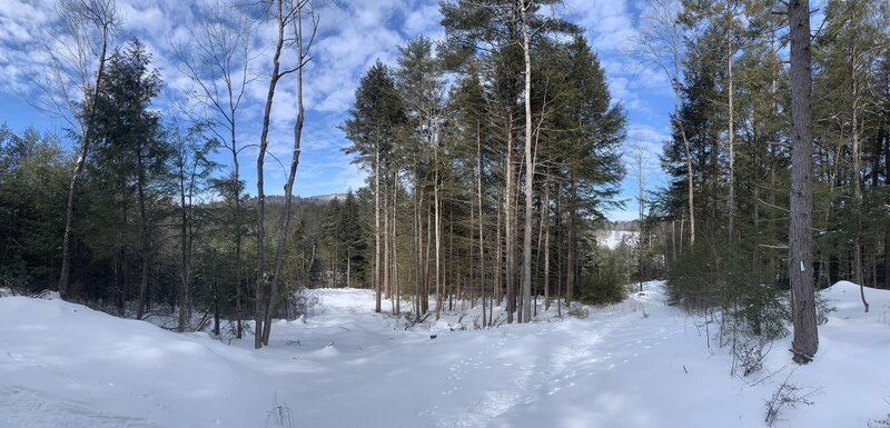 Beaver Pond Trail Intersetion