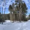 Beaver Pond Trail Intersetion