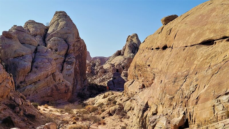 View from the trail