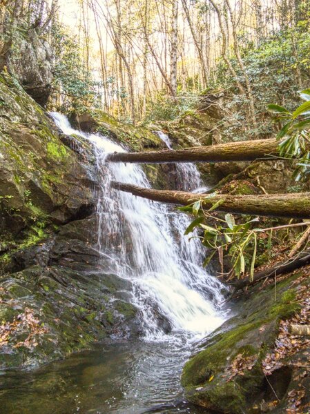 A cascade at spruce flats falls