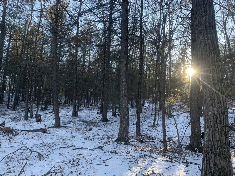 Illinois Mtn Trail.