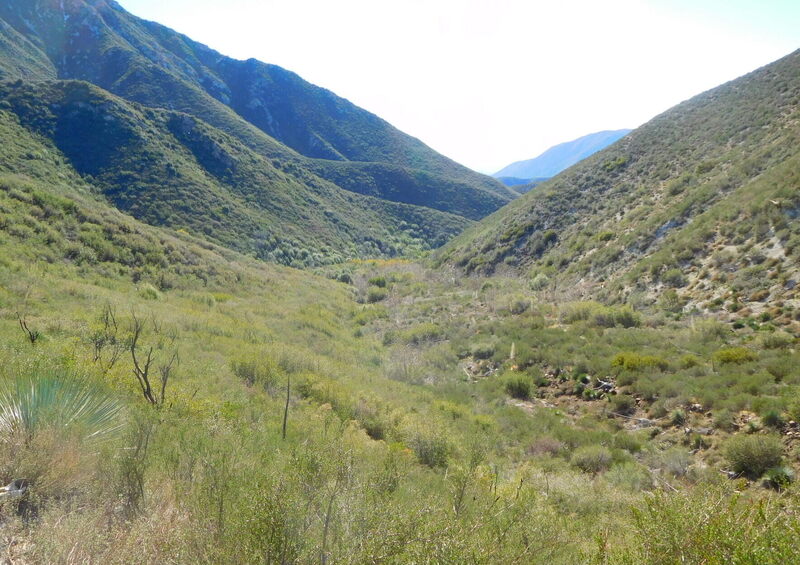 Big Cienega from Trail Canyon Trail.  The canyon bottom was filled with debris from a slide on Iron Mountain.