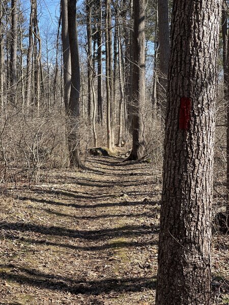 Old mill Trail, that's pretty much the whole hike with some views of the lake