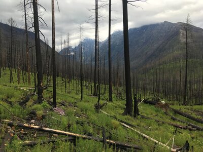 View from halfway on Lincoln lake trail