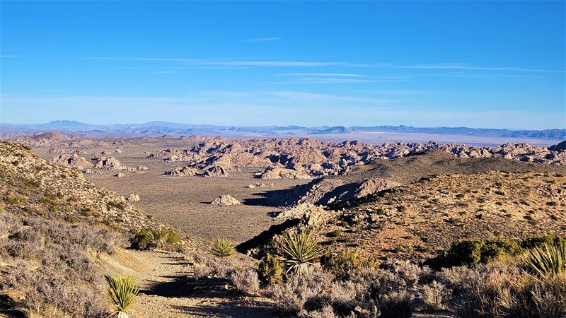 View from the trail