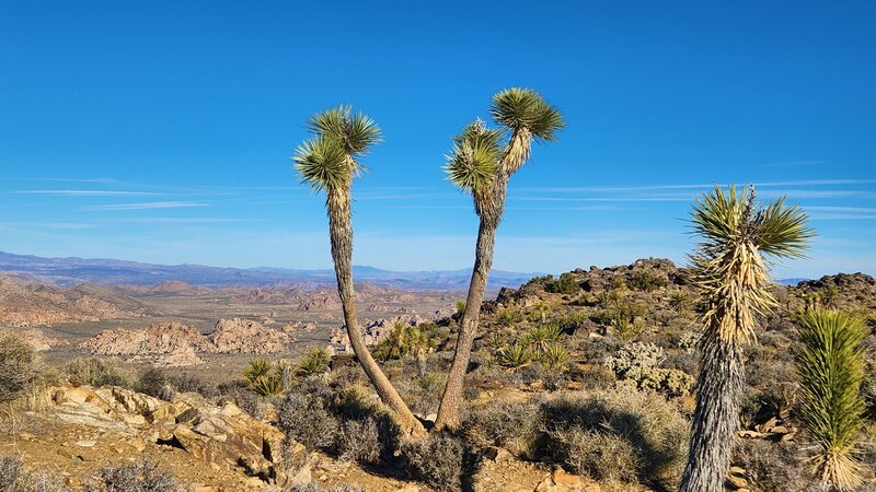 View from the trail