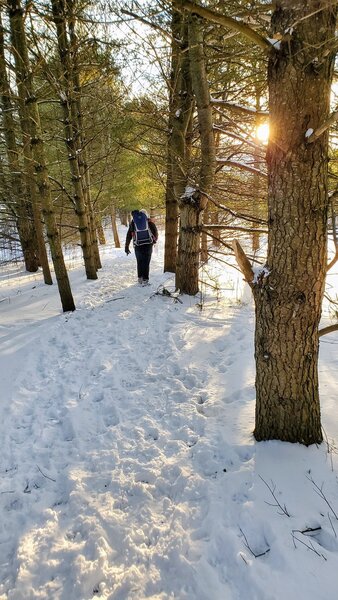 Sunset hike in the snow