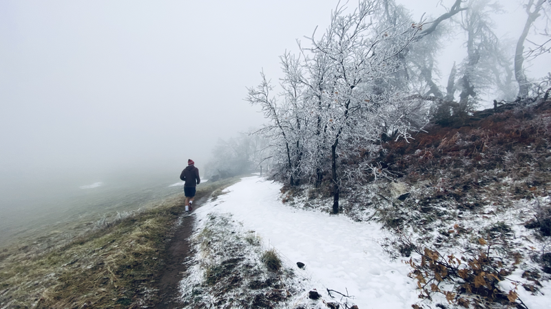 Snowy singletrack.