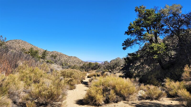 View from the trail