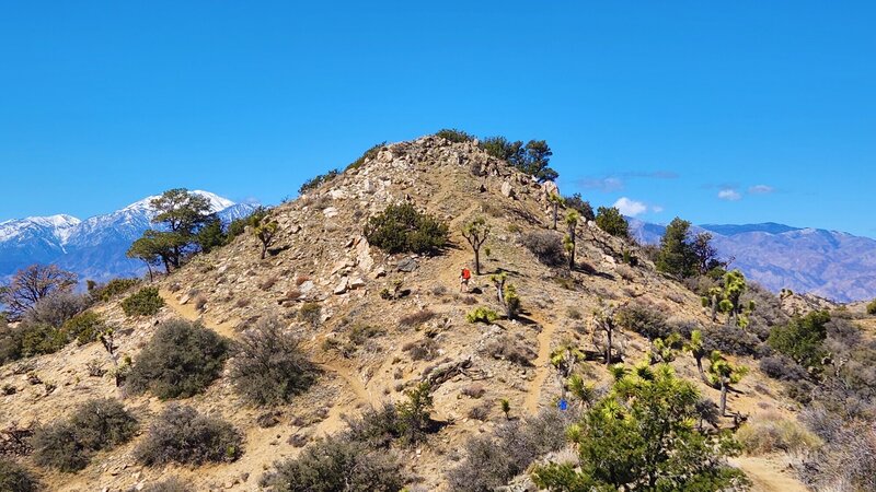 View from the trail