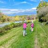 Grassy section of the Hoosick River Greenway.