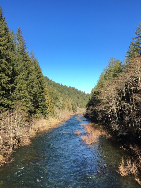 North Fork of the Willamette River from the bridge to NF-1910.