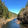 North Fork of the Willamette River from the bridge to NF-1910.