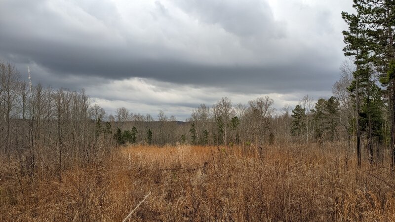 An area that has been cleared along the trail by USFS to promote wildlife habitat.