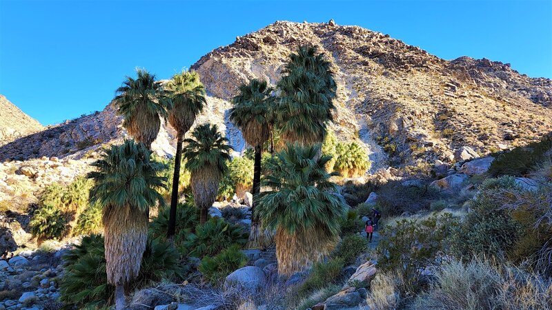 View from the trail