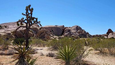 View from the trail