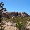 View from the trail