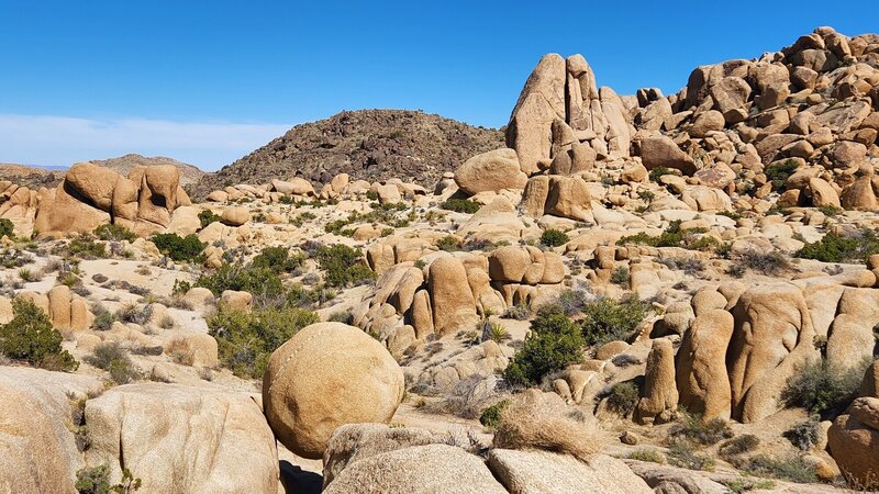 View from the trail