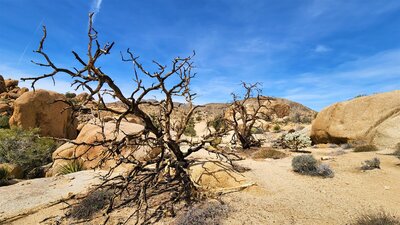 View from the trail