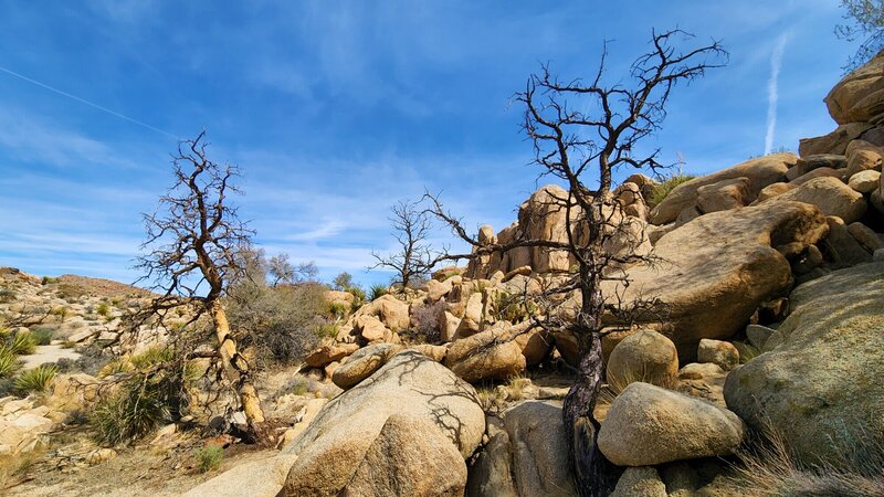 View from the trail