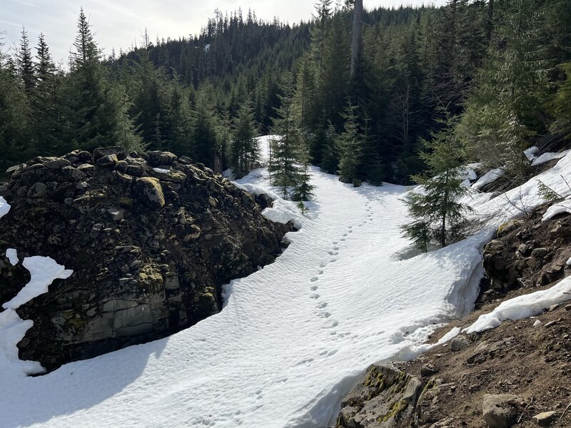Cinnamon trail near peak & elk tracks in snow