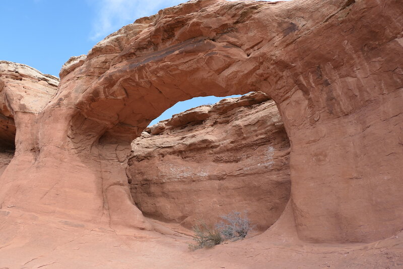 Tapestry Arch. Worth the small spur from Broken Arch Loop. Hardly any people there.