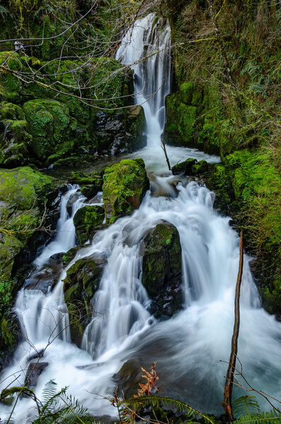 Upper Sweet Creek Falls from Wagon Road Trail