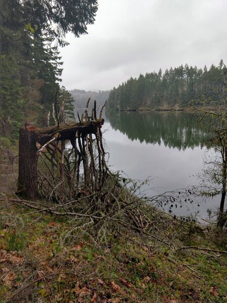 View of Cooper Creek Reservoir.