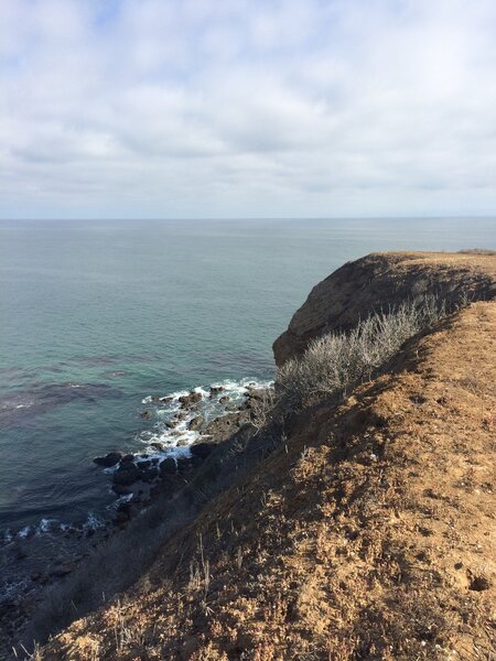 Palos Verdes