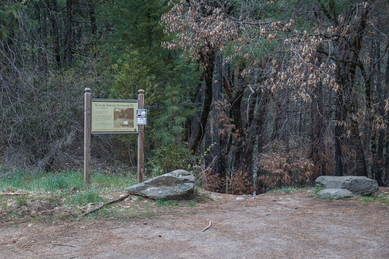 A sign marks the trailhead for the short walk to the creek and waterfall.