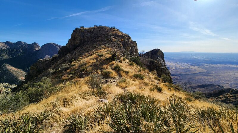 View from the trail