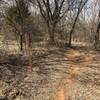 Typical view on Walker Creek Trail.