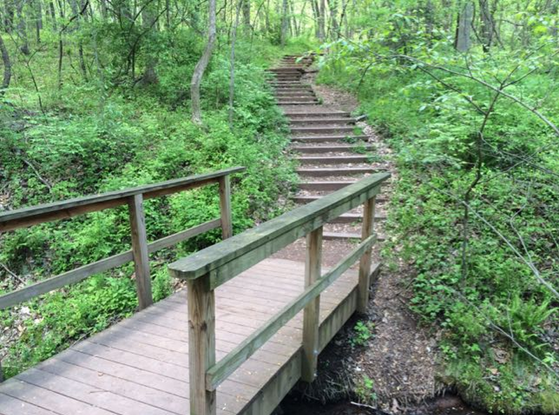 bridge next to the stairs