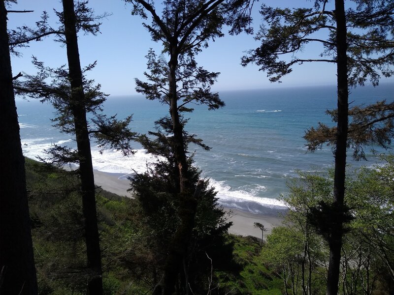 Skunk Cabbage Trail meets the Coastal Trail