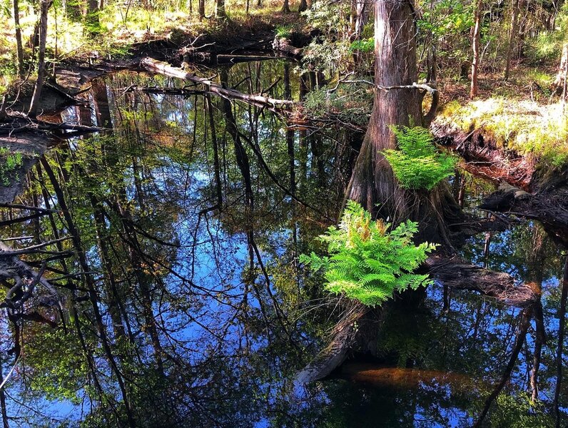 Crossing over a foot bridge - scenic vistas