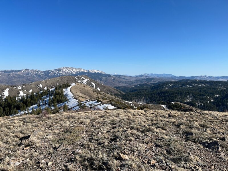 View to the south of Scout and Old Tom Mountains from the summit of the Gibson Mountain Trail.