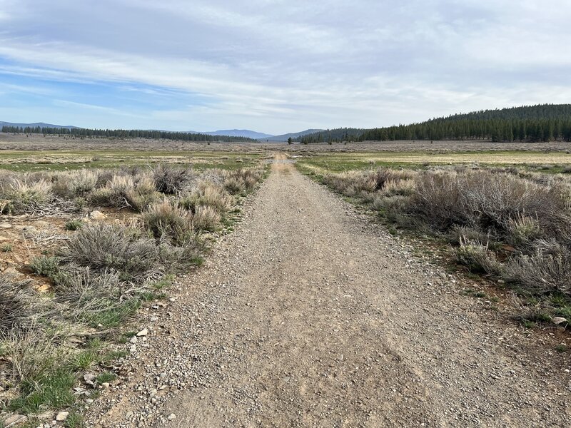 Immediately off the road there is dirt/gravel making it slightly unsteady.