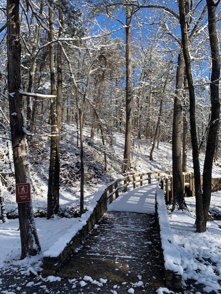 This was taken 3-12-22 on the Cadron Settlement Trail. It had snowed the night before. It was a beautiful hike.