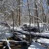 This was taken 3-12-22 on the Cadron Settlement Trail. It had snowed the night before. It was a beautiful hike.