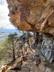 Mt. Nebo hiking trip on April 3rd 2022. I dipped down from the rim trail for part of the hike. It was a beautiful hike!!