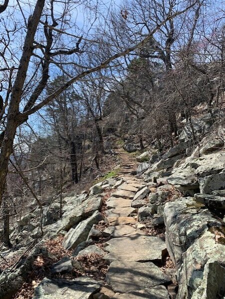 Mt. Nebo hiking trip on April 3rd 2022. I dipped down from the rim trail for part of the hike. It was a beautiful hike!!