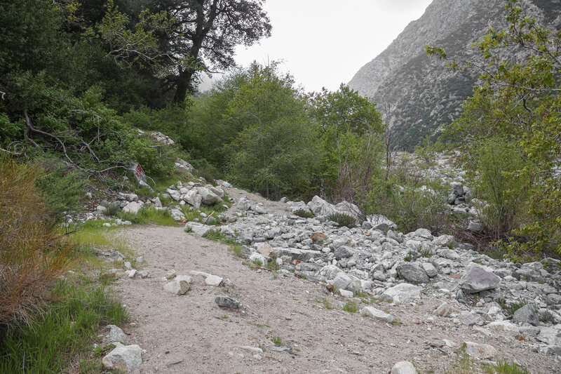 A thicket of green trees in a mostly dry wash marks the turn up into the narrow canyon.