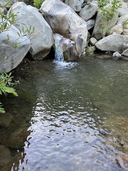 Cold Spring Pool