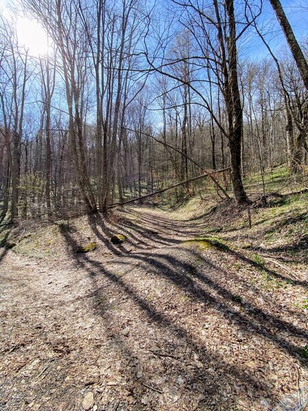 Start of the Perkins Road Trail