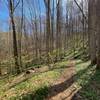 Rolling trail along the mountain.