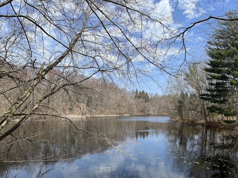 Pond in front of the Ross Cottage