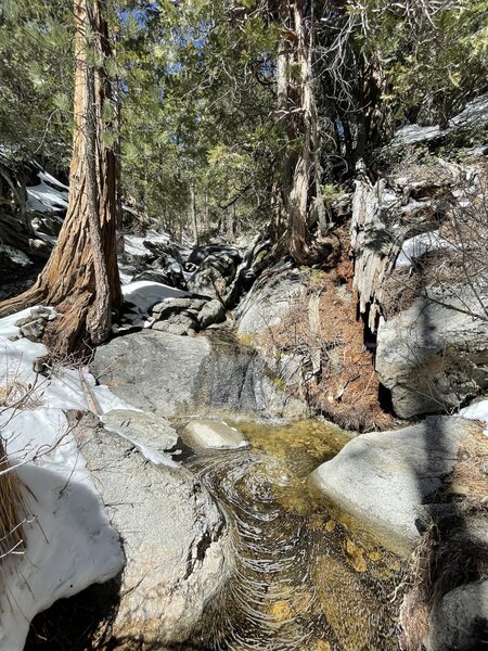 Marion Creek crossing