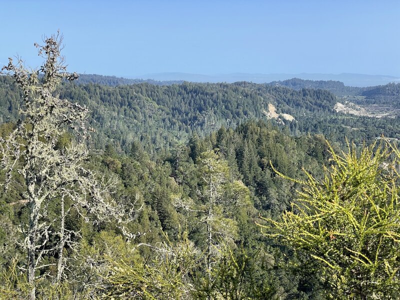 View from the vista. Monterey in the background.